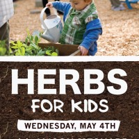 Herbs-For-Kids-21